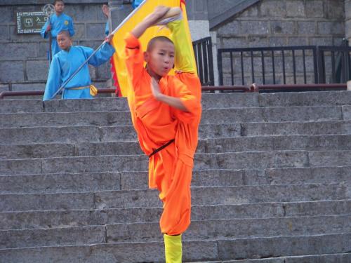 Practicante en Shaolin